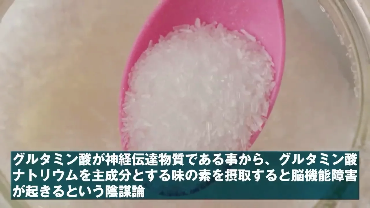 「脳機能障害」「失明」説への反論