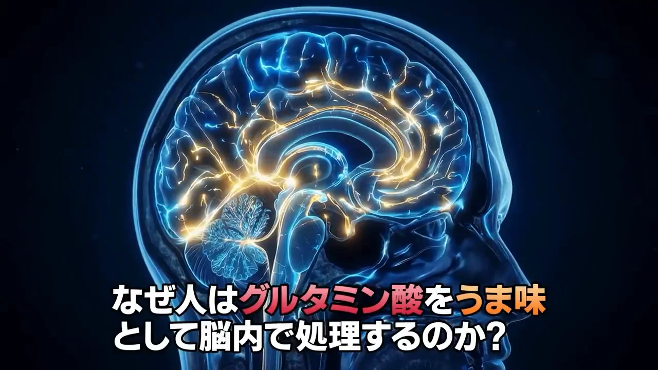 なぜ人はうま味を好むのか：進化の仮説