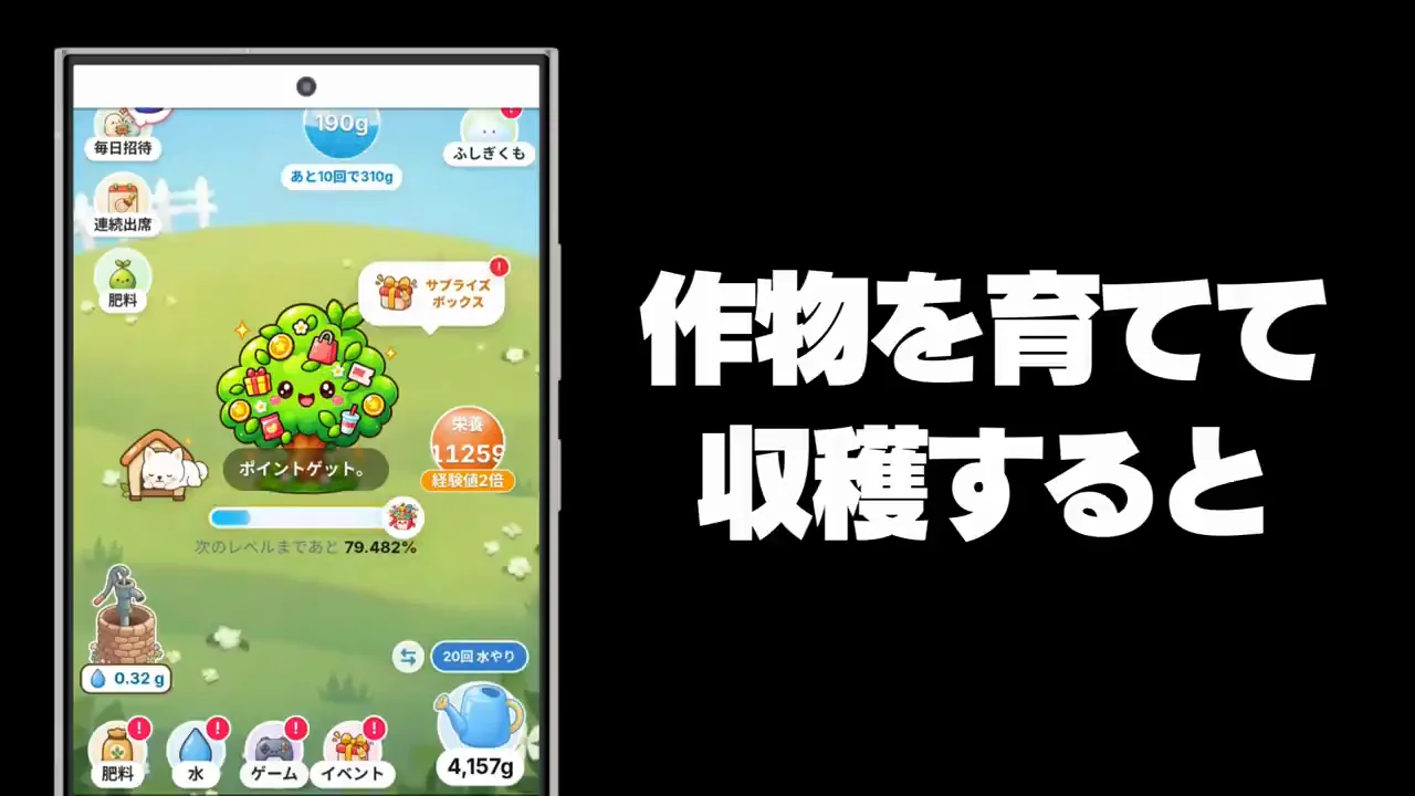 dipsファーム：コインプッシャーは開始から24時間限定