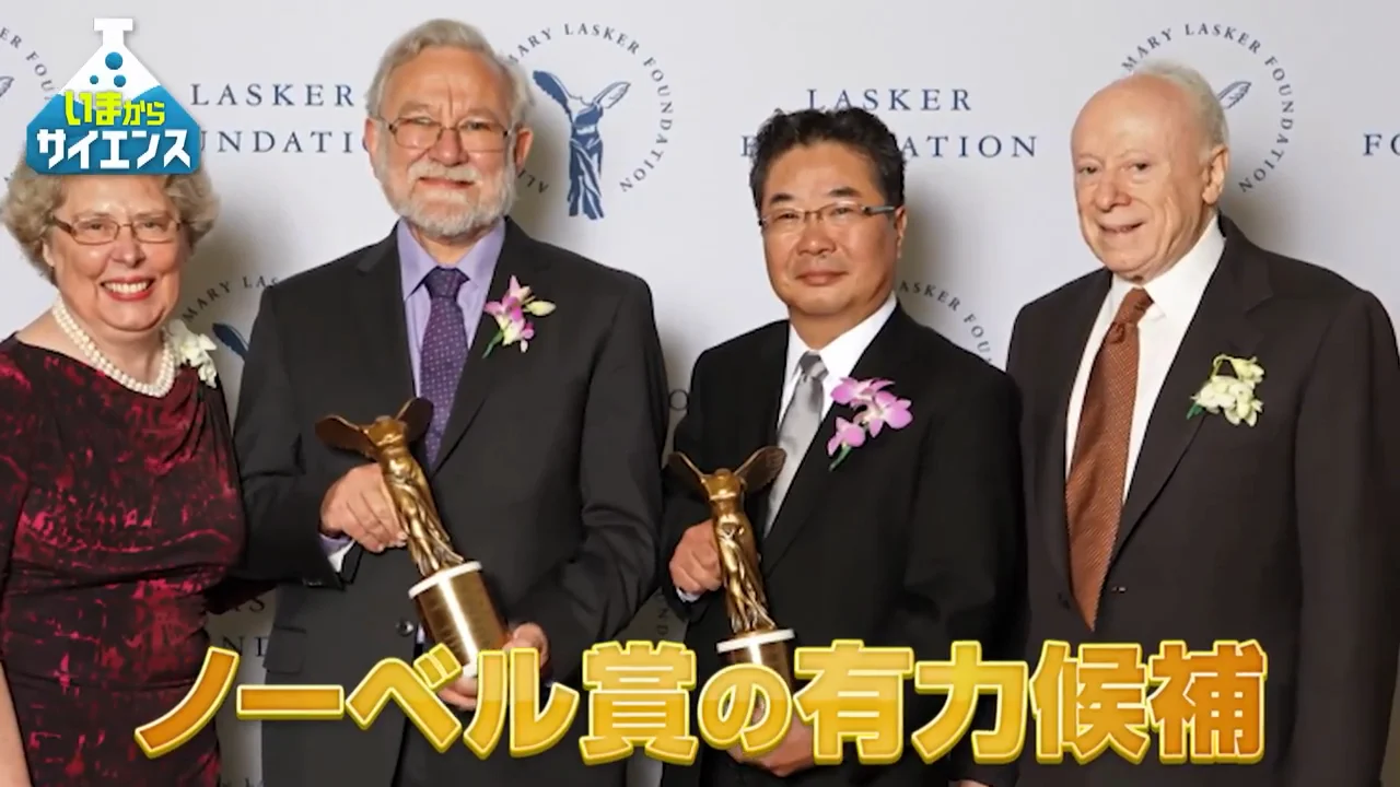 冒頭で示された研究の広がり
