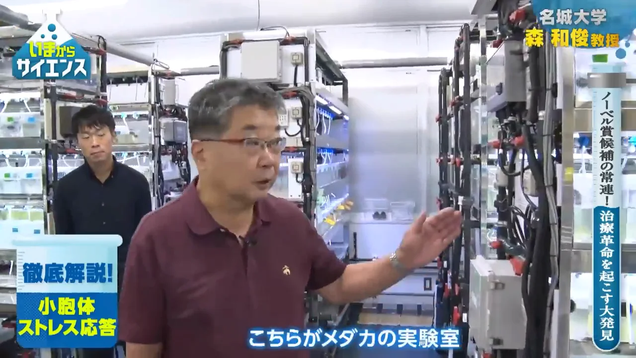 メダカで見えた小胞体ストレスの影響