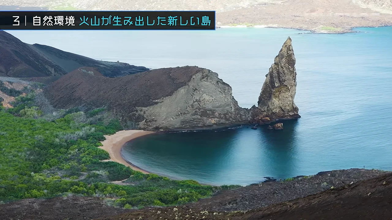 島の風景：火山が作った地形と生命の定着