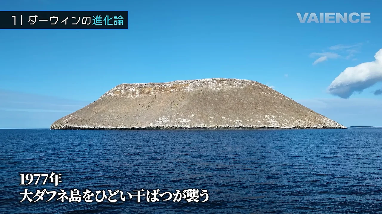 生きた鳥で測定された自然選択と、新しい種の誕生