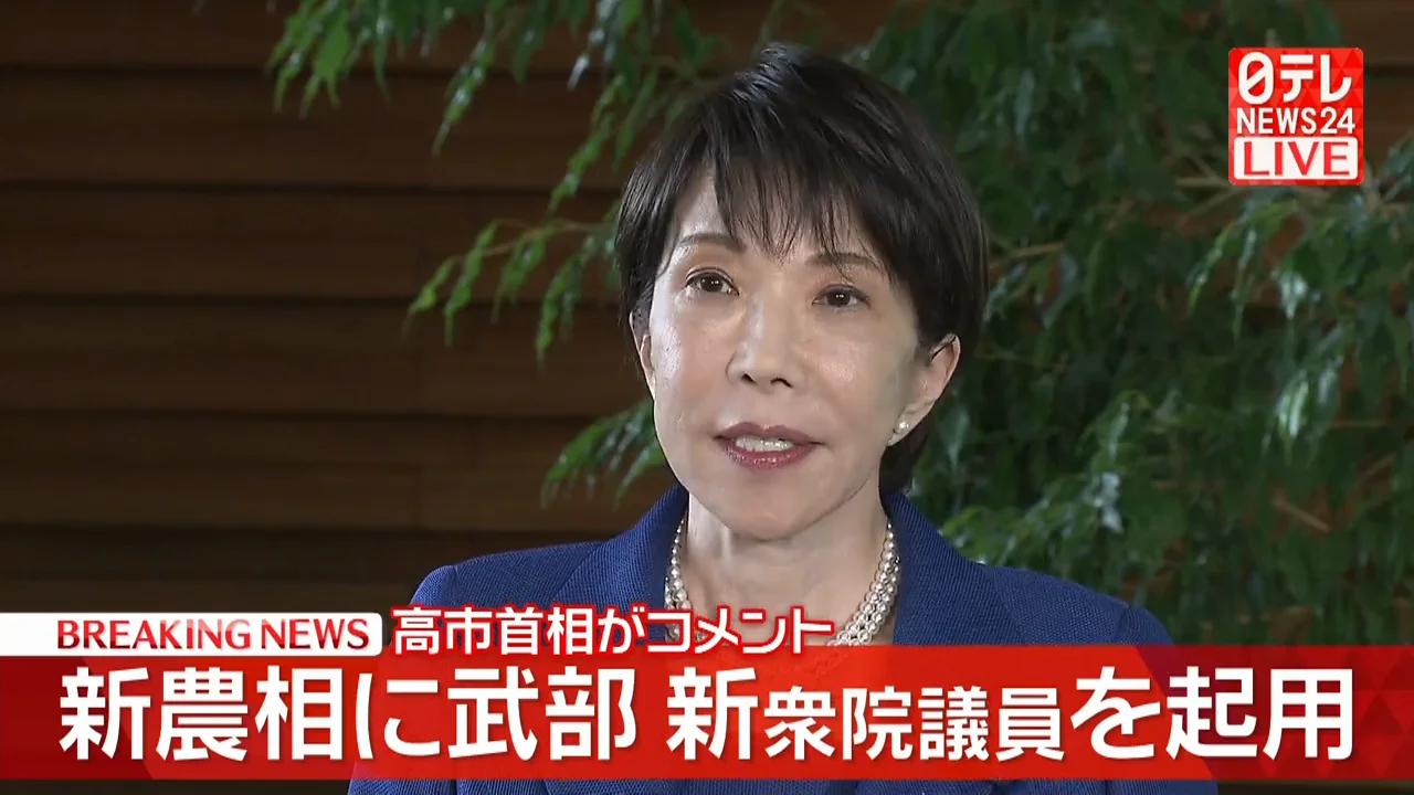 「即戦力」としての起用理由