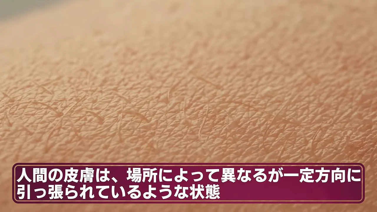 最初の防壁としての皮膚