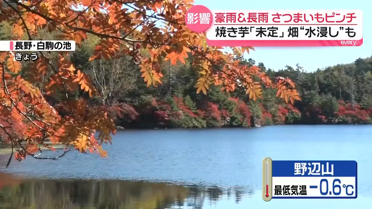 冷え込みの朝と芋スイーツのにぎわい