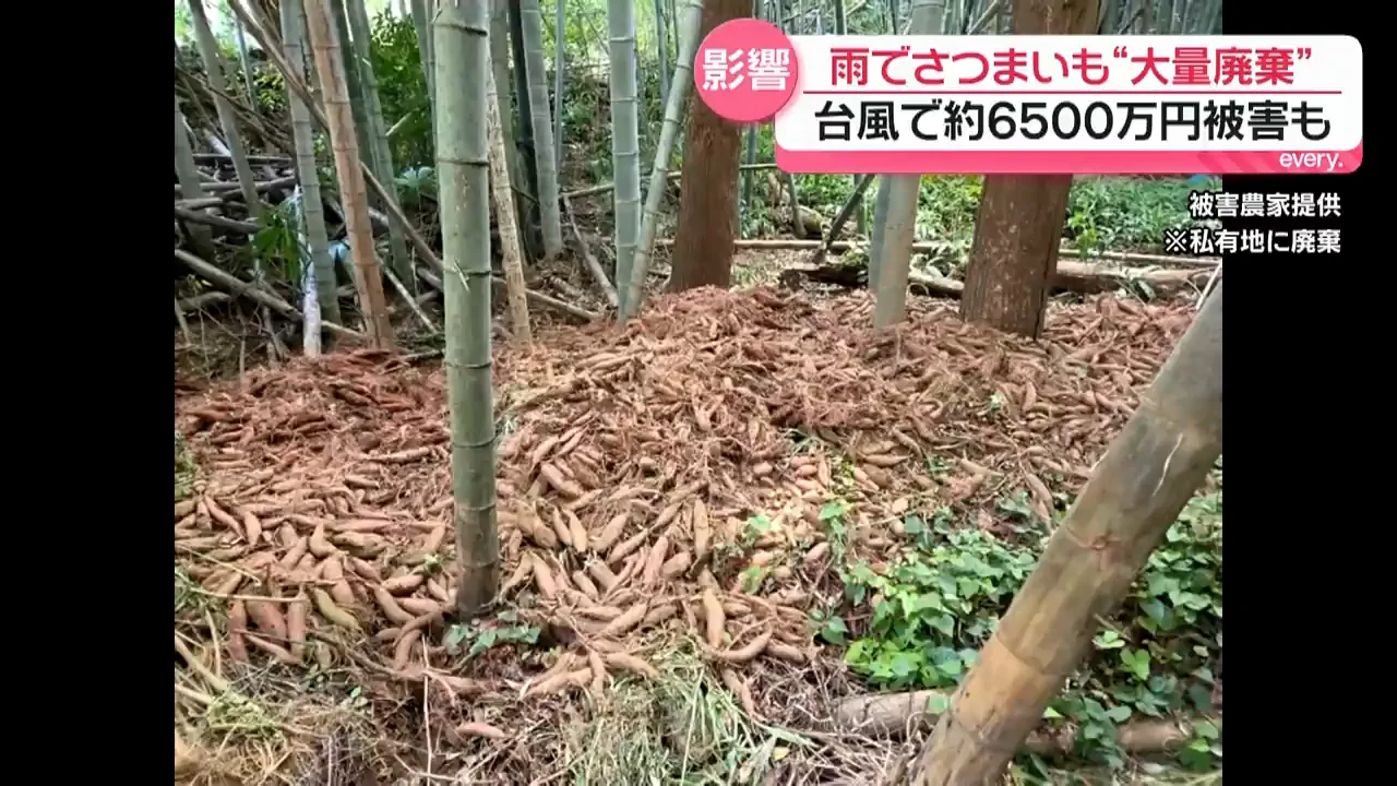 千葉県全体の被害と価格への懸念