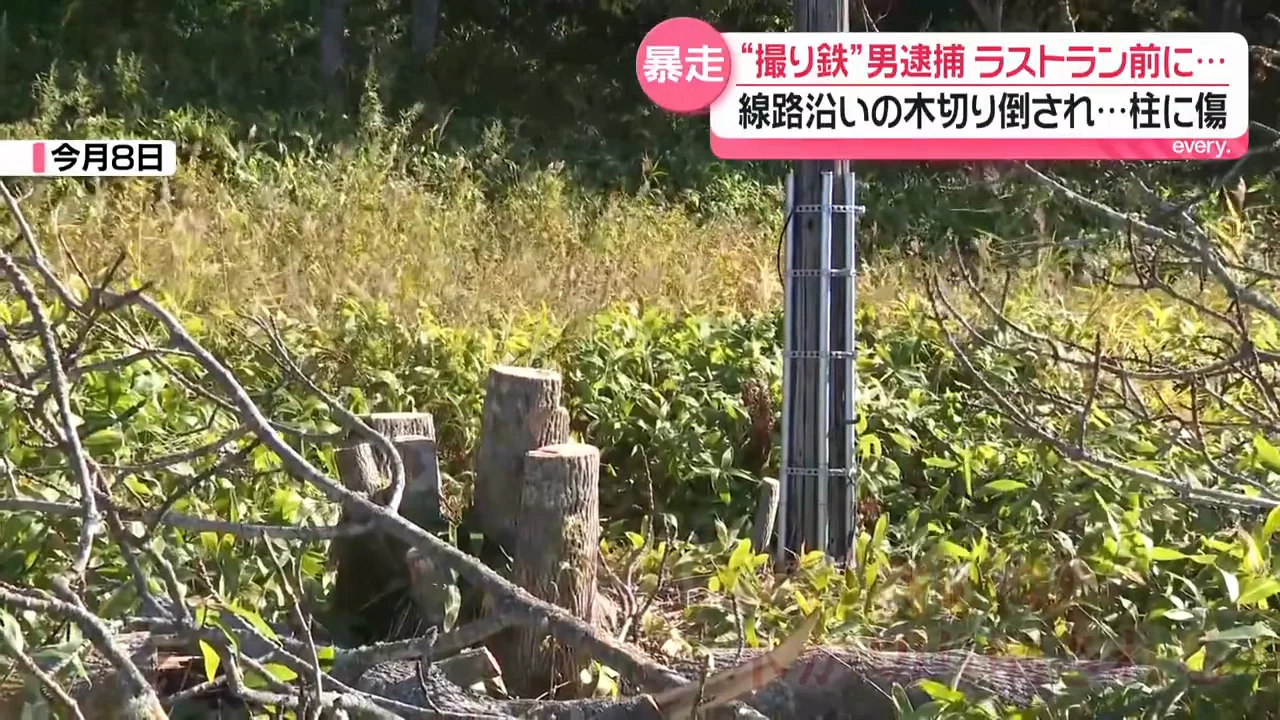 約1kmにわたる伐採と支柱の傷