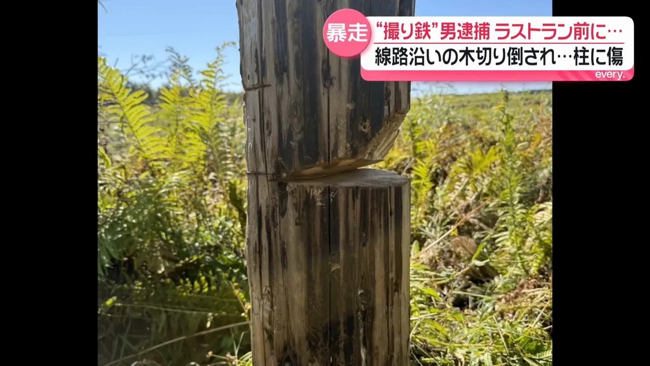 釧路湿原を背景に撮れる人気スポット