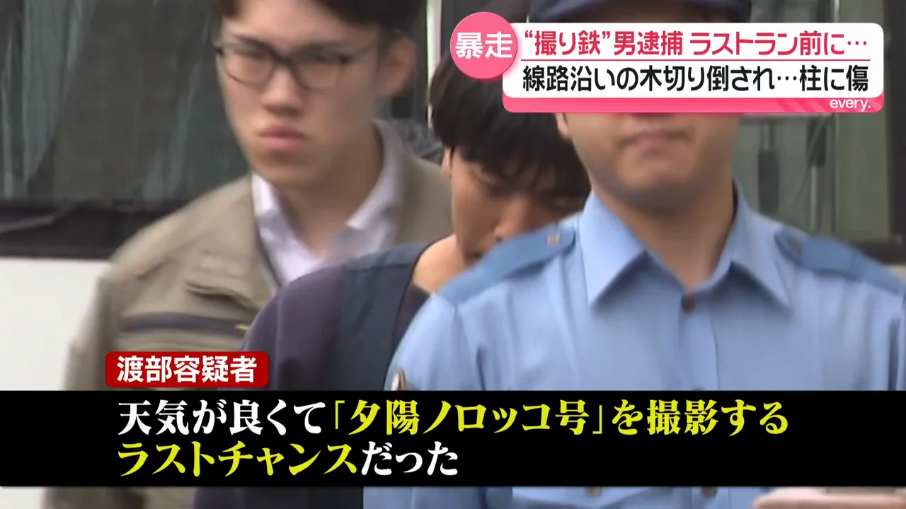 「少しでも条件を良くしたくて木を切った」