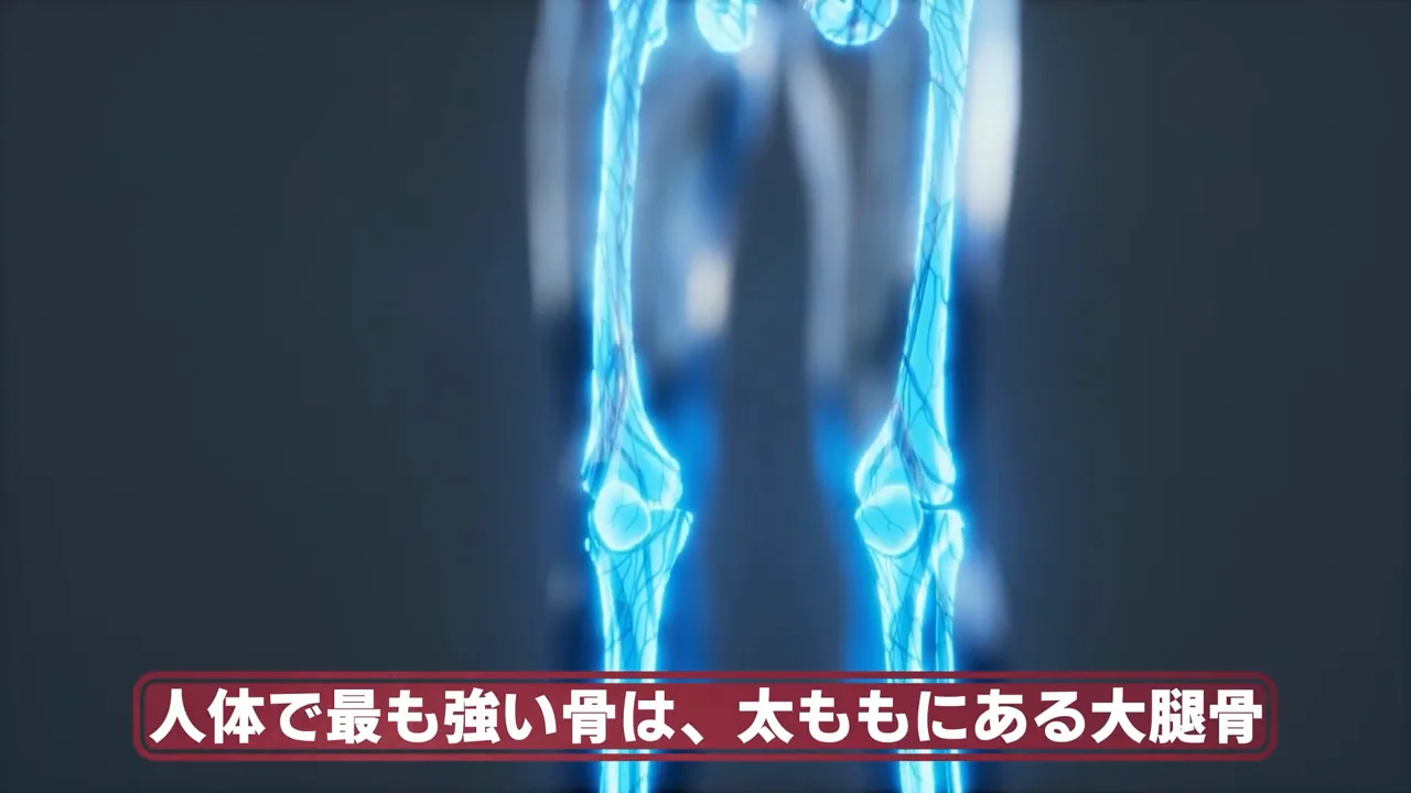 骨は耐えても、体は「肉津波」になる