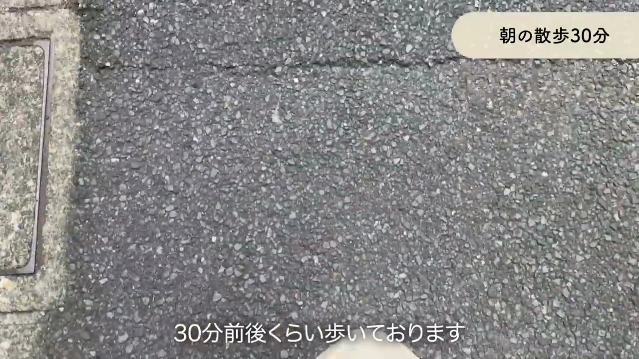 30分の早歩きと、段階的に下げる水シャワー