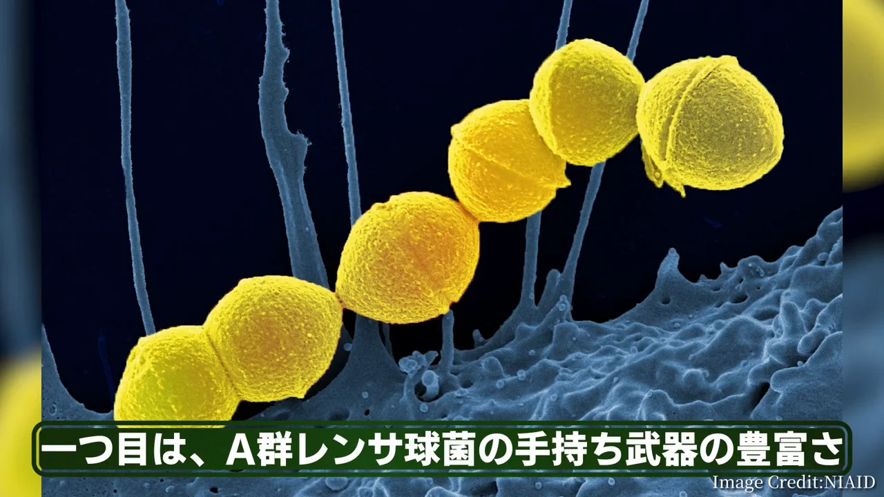 免疫を無力化し、痛みの信号を逆手に取る