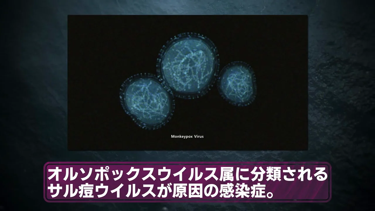 サル痘：天然痘の近縁ウイルスが広がった2022年