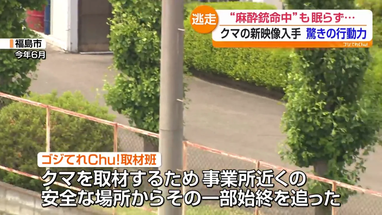 外からは見えなかった敷地内のクマ