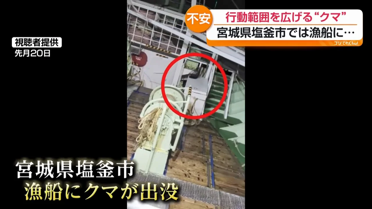 豊作の年でも広がる行動範囲
