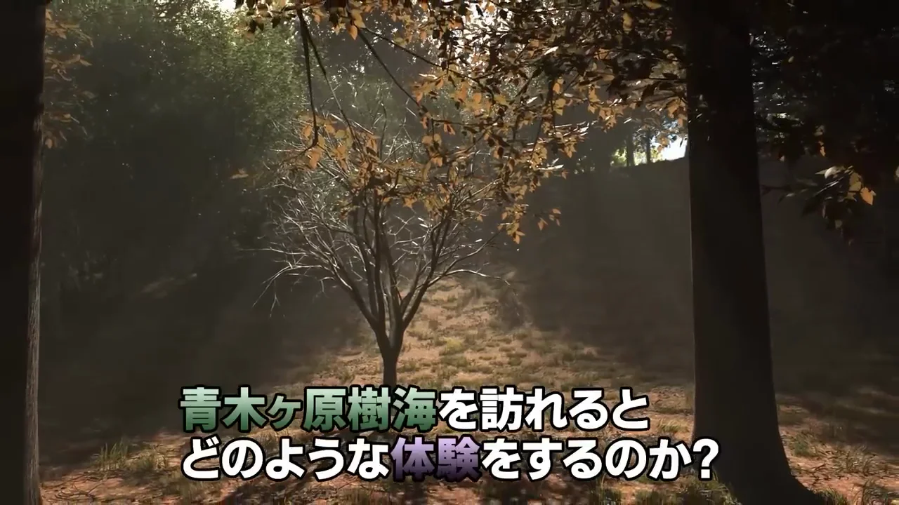 遊歩道を歩くだけなら危険はない