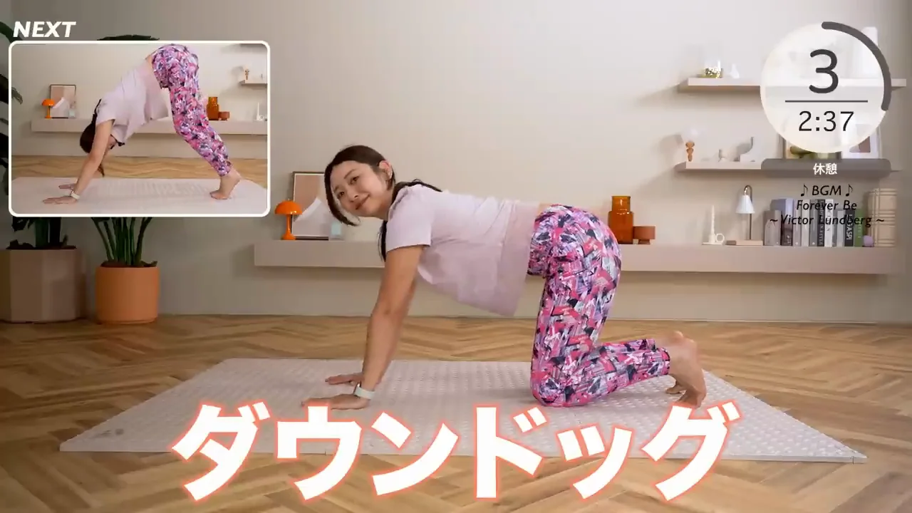 ダウンドッグで脚の裏と肩回りを伸ばす
