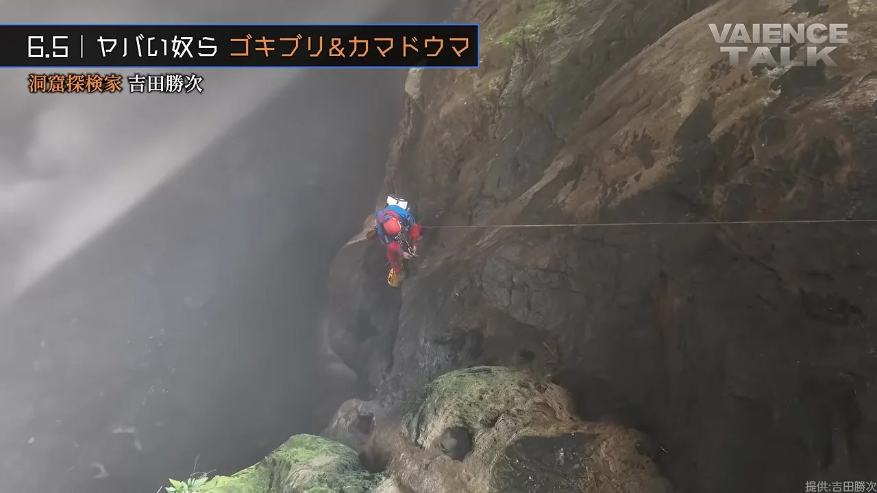 克服できないゴキブリと、天井一面のカマドウマ