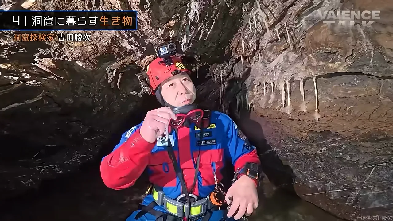 有機物の乏しい洞窟に暮らす生き物