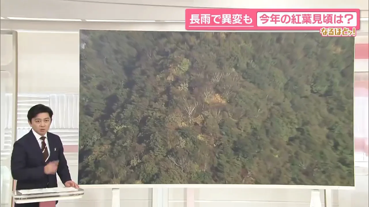 気温が高く、全国的に見頃が遅れる見込み
