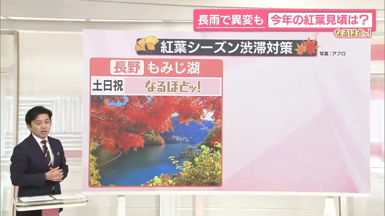 紅葉シーズンの渋滞対策
