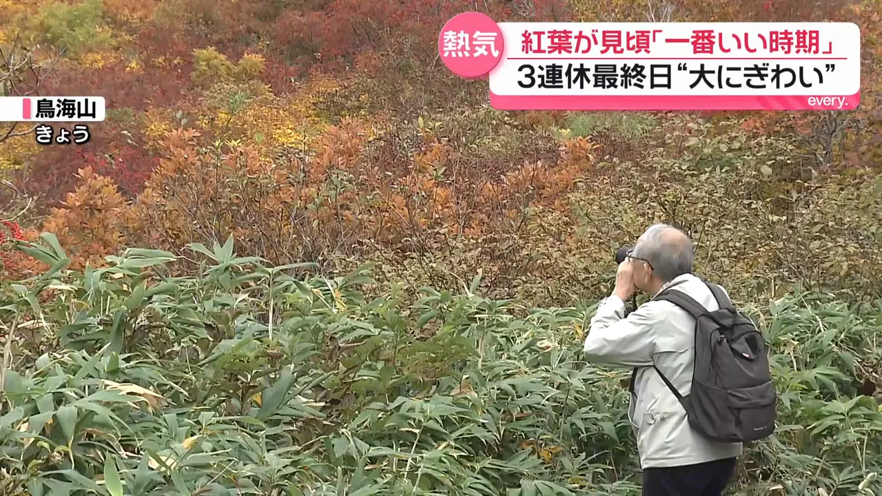 紅葉の見頃と関東の色づき