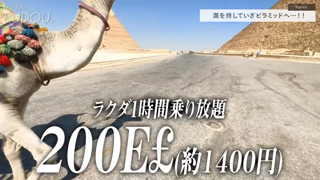 ラクダ引きとの値段交渉