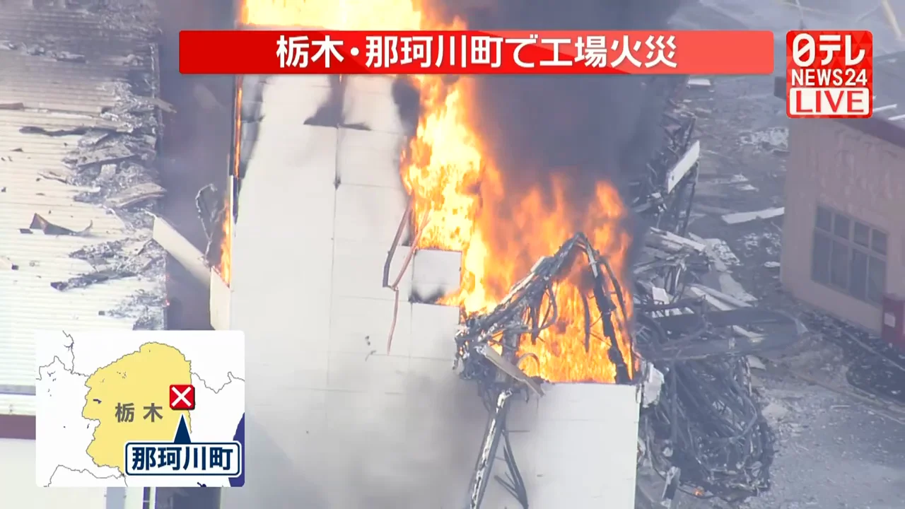 被害の状況