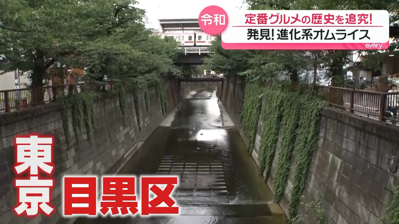 令和の進化系：ハンバーグとの合体