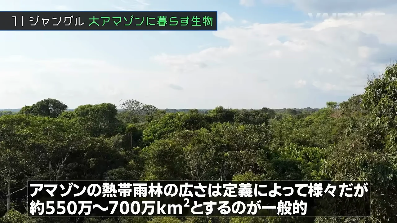 日本の15倍の森