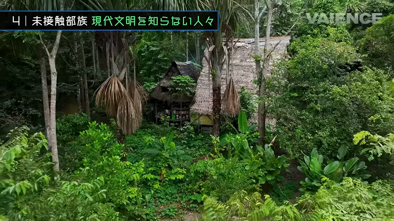 未接触部族：接触を拒む理由