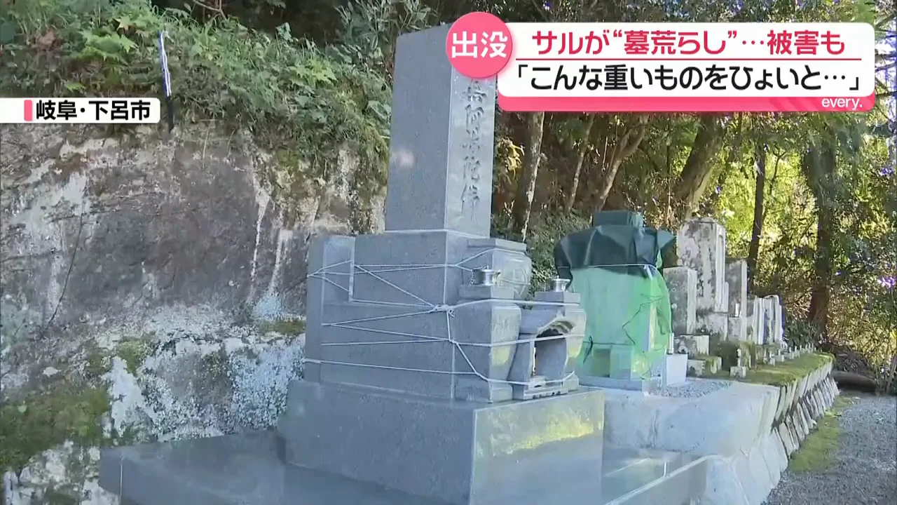 下呂市の墓地で相次ぐ「墓荒らし」