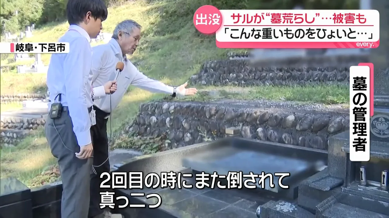修理しても再び倒される