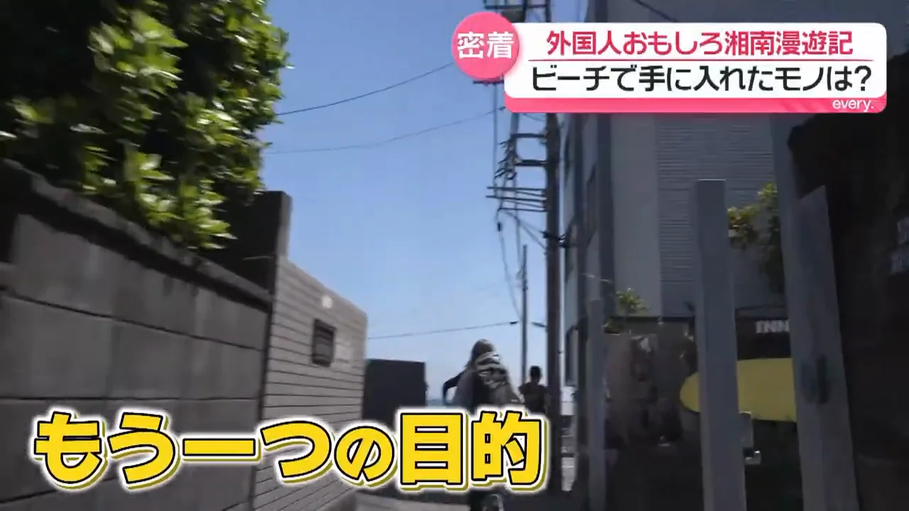 由比ヶ浜で見つけた「色のある貝殻」