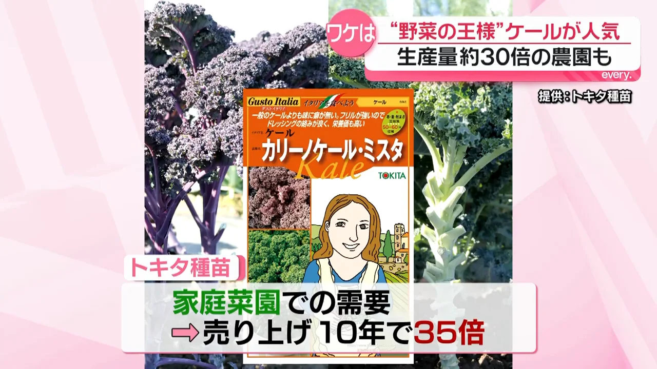 卸と種苗会社でも数字が伸びる