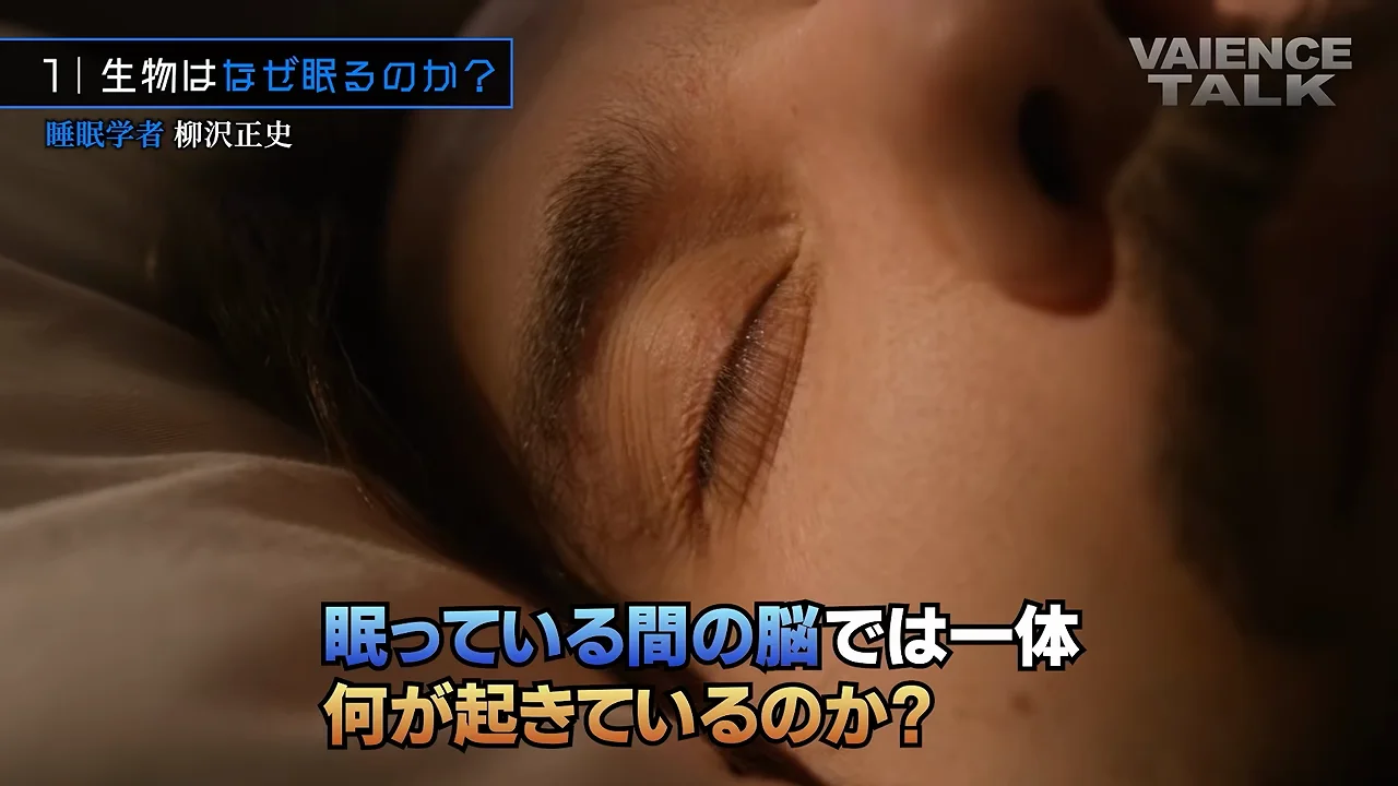 レム睡眠とノンレム睡眠