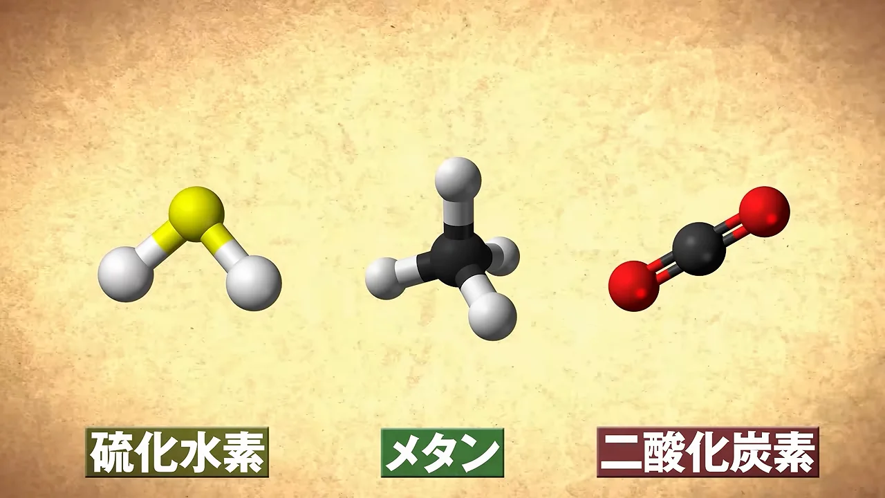 メタンや二酸化炭素による酸欠、そして感染症
