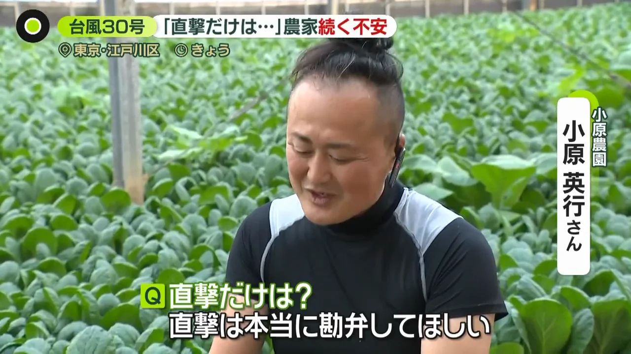 「直撃は本当に勘弁して」