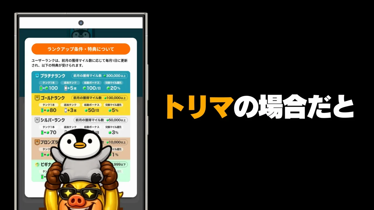 比較対象としてのトリマのランク制度