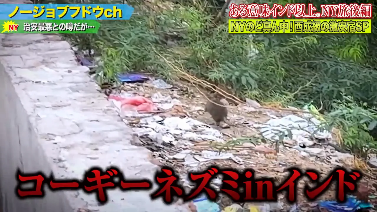 ハーレムの深夜とネズミの多さ