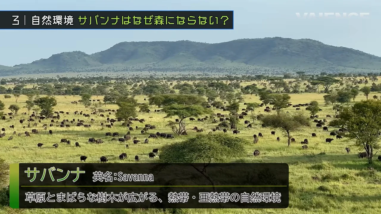 サバンナはなぜ森にならないのか