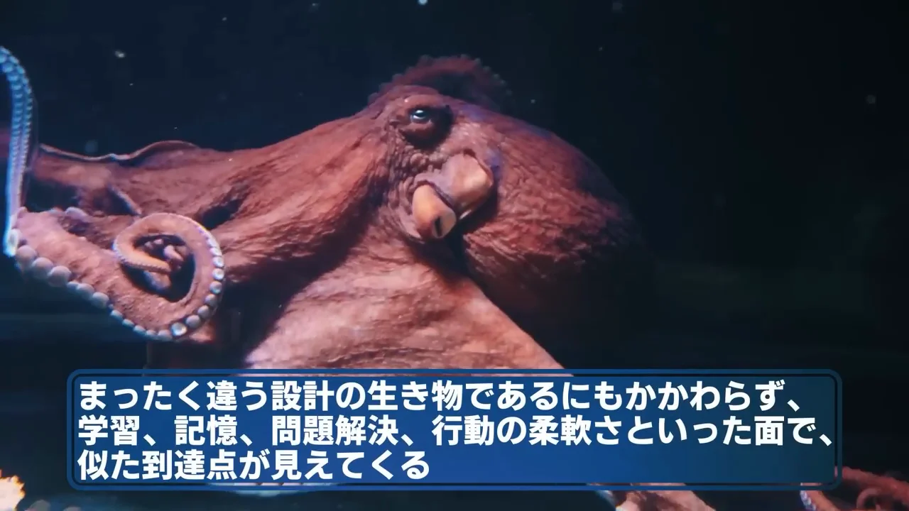 従来の知能進化のイメージから外れた例