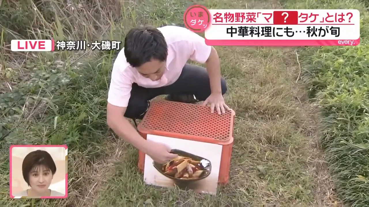 「ほにゃら竹」の正体