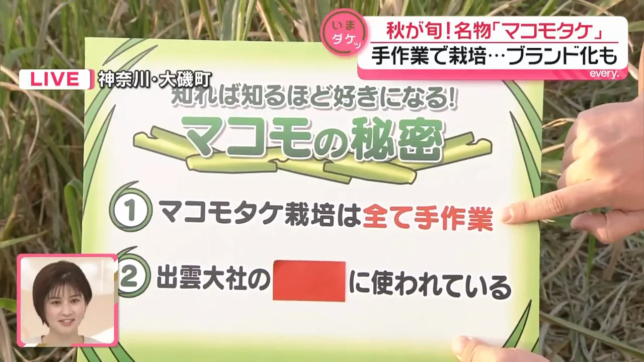 栽培はすべて手作業