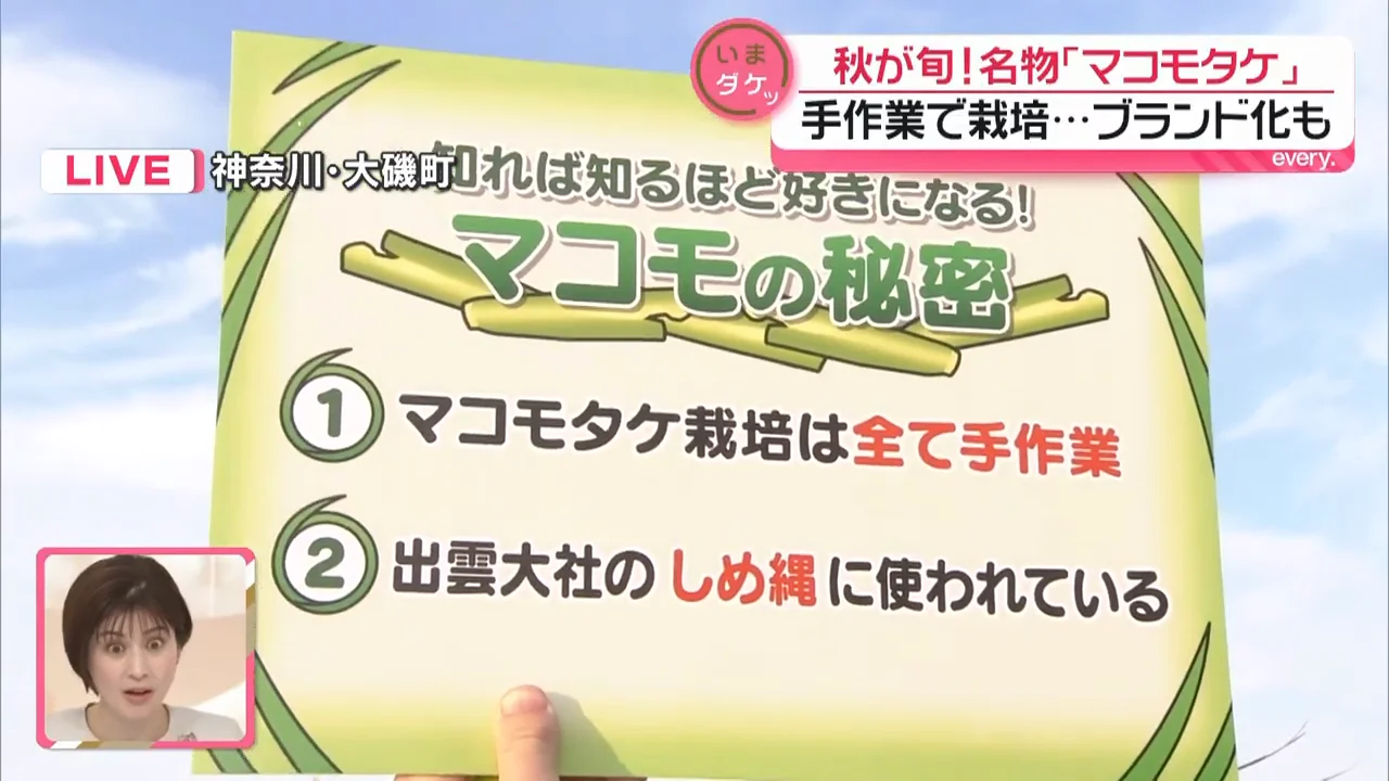 出雲大社のしめ縄にも