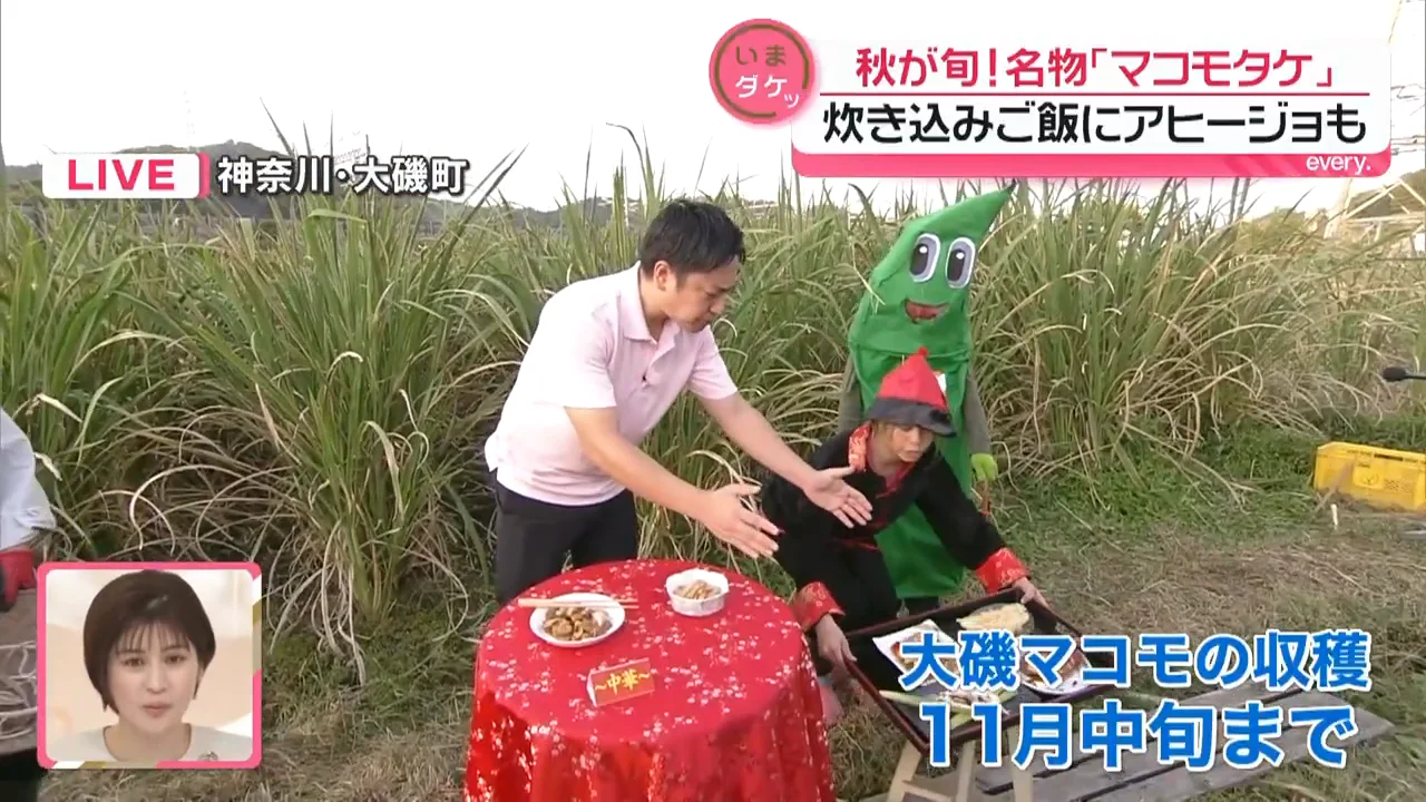 どこで手に入るか