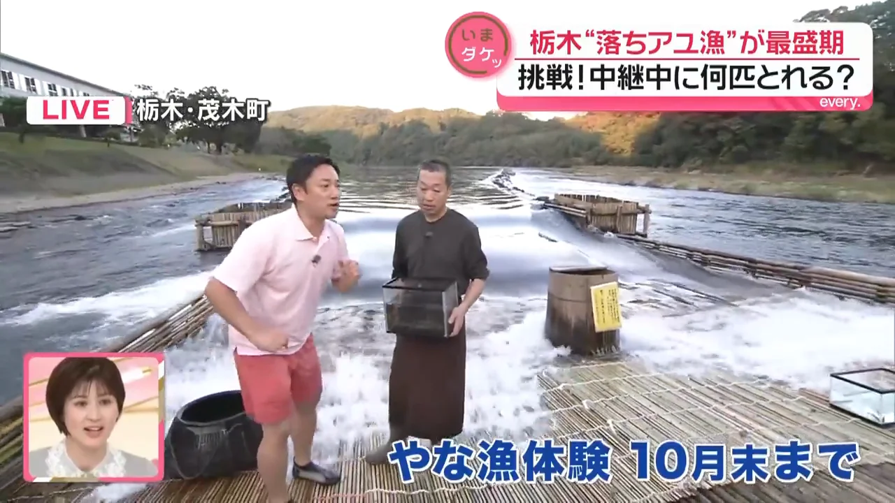やなは10月いっぱい、アユは最後までかからず