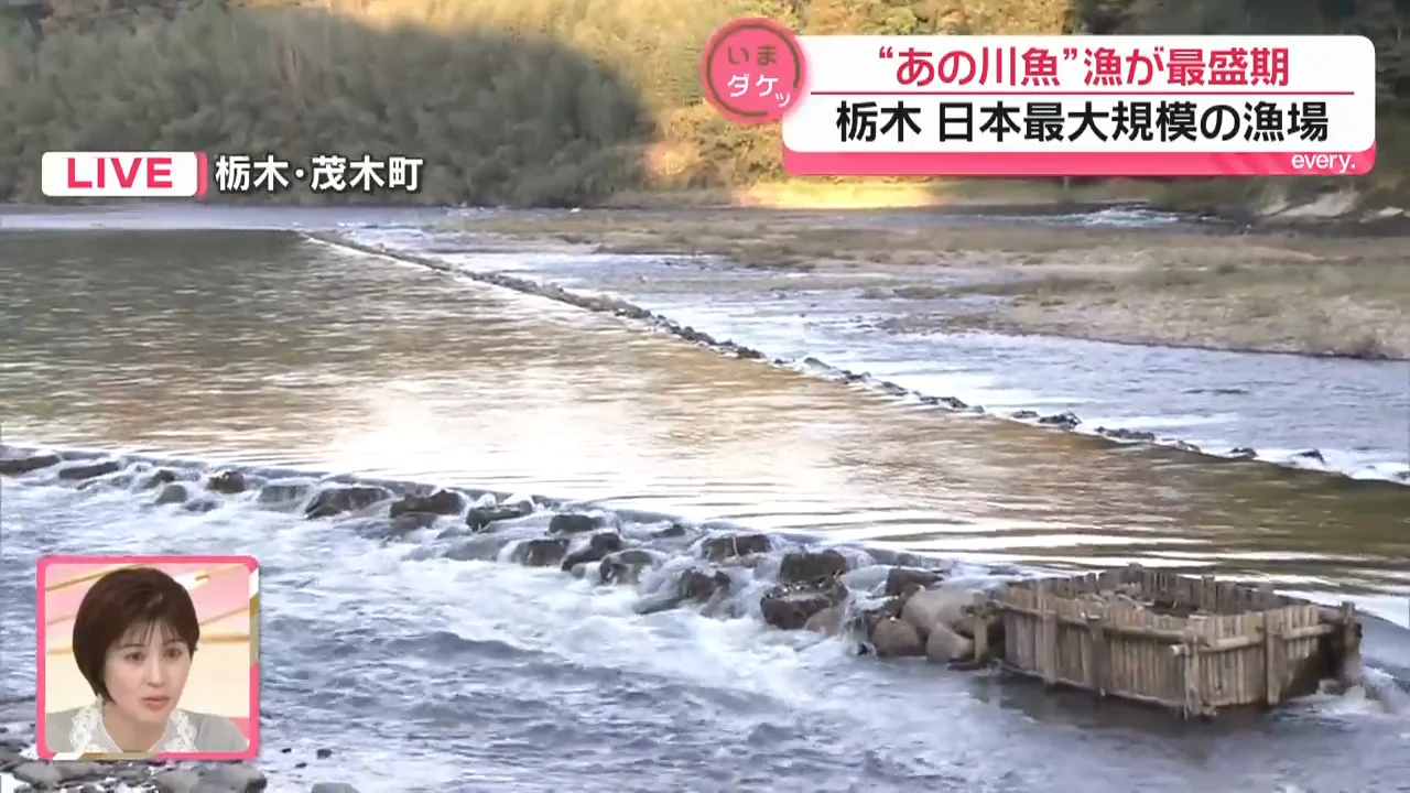 竹の簀と石で川をせき止める仕組み