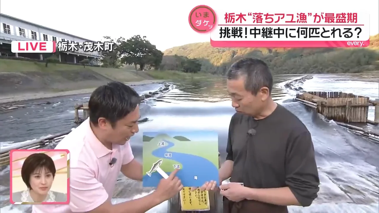 アユの一生と「落ちアユ」